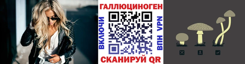 Псилоцибиновые грибы мицелий хочу Черноголовка